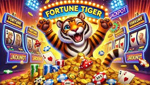 55bet